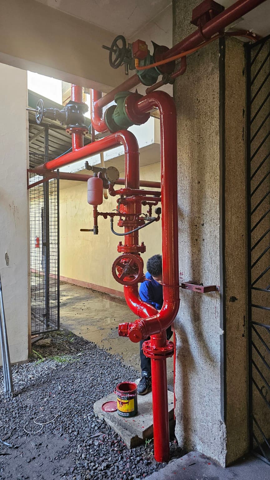 Fire protection riser valve assembly with red piping
